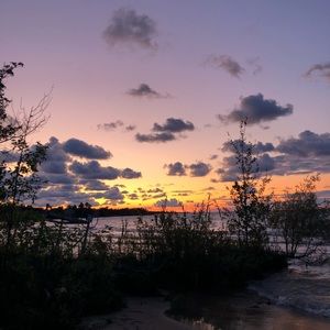 Meet your Posher, Abbey